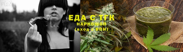 индика Абаза