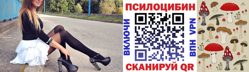 Псилоцибиновые грибы Psilocybe  Сясьстрой 